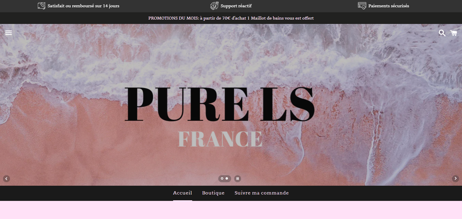 Aperçu du site PURE LS